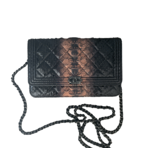 Chanel Boy Wallet Chain Python Bag